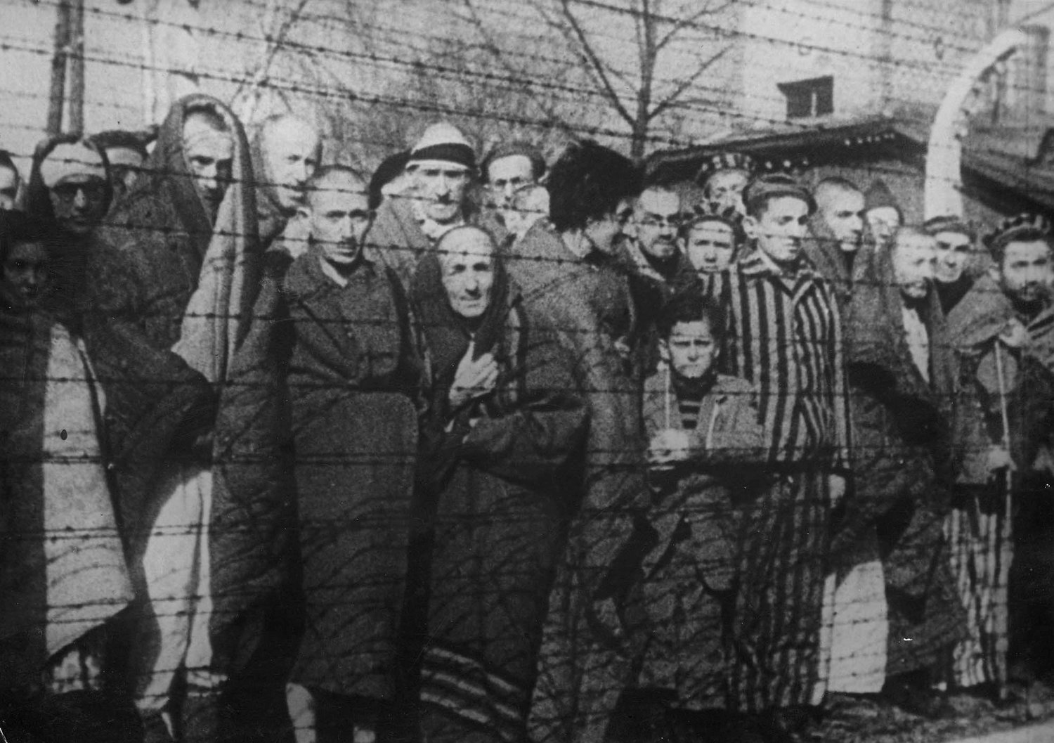 Men, women and children are seen behind barbed wire after the liberation of the Nazi death camp Auschwitz-Birkenau in 1945 in Oswiecim, Poland. Historians estimate that the Nazis sent at least 1.3 million people to Auschwitz between 1940-45, and it is believed that some 1.1 million of those perished there. Auschwitz was liberated by the Russian Army Jan. 27, 1945.
